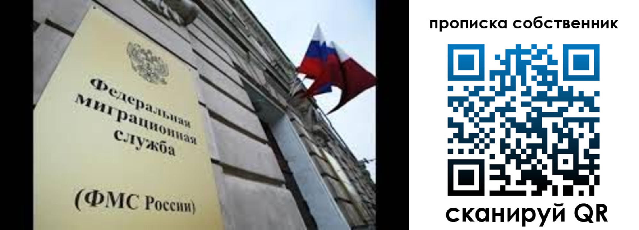 прописка гарантия в Дубне
